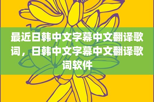 最近日韩中文字幕中文翻译歌词，日韩中文字幕中文翻译歌词软件