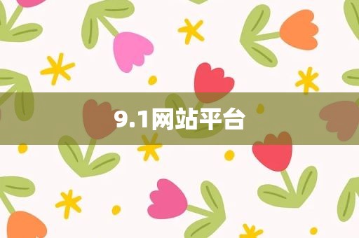 9.1网站平台