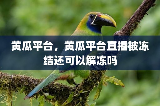 黄瓜平台，黄瓜平台直播被冻结还可以解冻吗