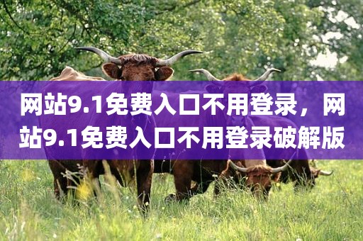 网站9.1免费入口不用登录，网站9.1免费入口不用登录破解版