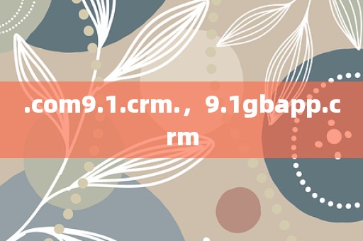 .com9.1.crm.，9.1gbapp.crm