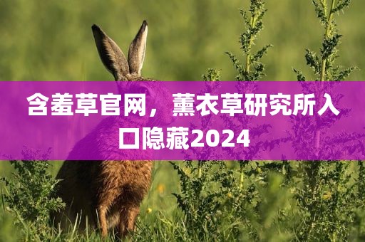 含羞草官网，薰衣草研究所入口隐藏2024