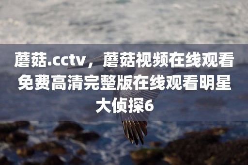 蘑菇.cctv，蘑菇视频在线观看免费高清完整版在线观看明星大侦探6