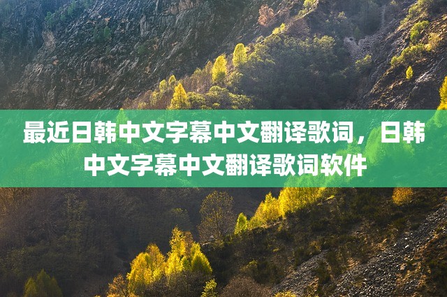 最近日韩中文字幕中文翻译歌词，日韩中文字幕中文翻译歌词软件