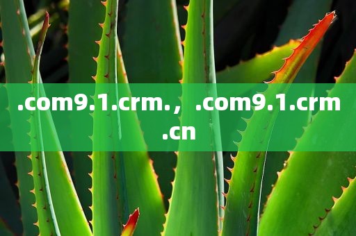 .com9.1.crm.，.com9.1.crm.cn