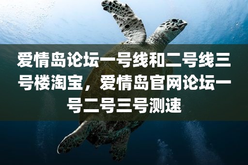 爱情岛论坛一号线和二号线三号楼淘宝，爱情岛官网论坛一号二号三号测速