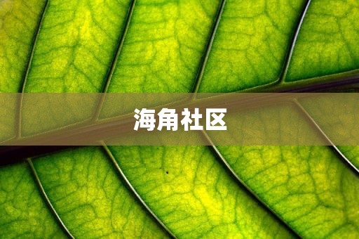 海角社区
