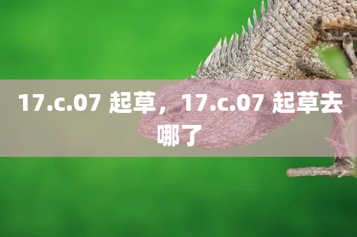 17.c.07 起草，17.c.07 起草去哪了