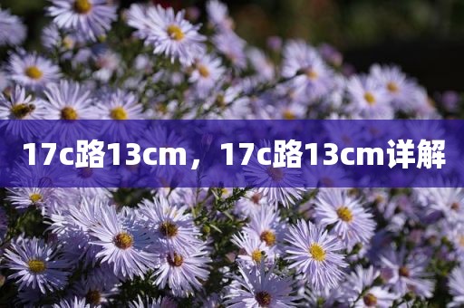 17c路13cm，17c路13cm详解