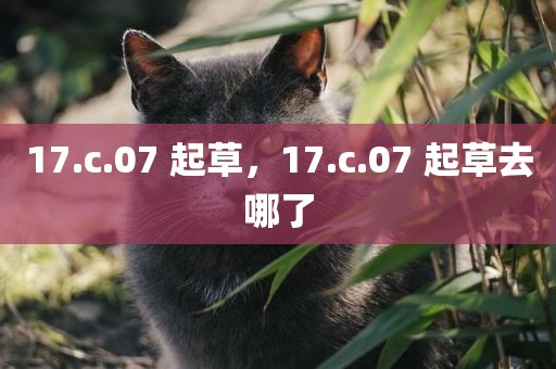 17.c.07 起草，17.c.07 起草去哪了