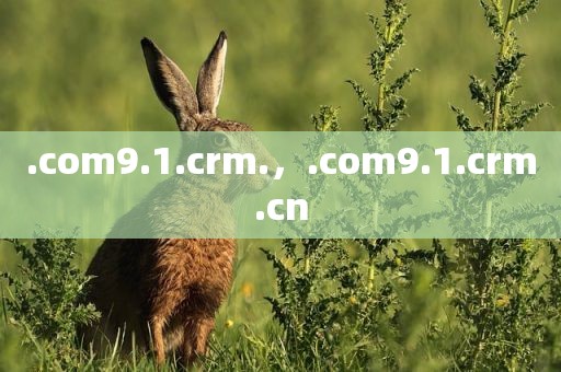 .com9.1.crm.，.com9.1.crm.cn