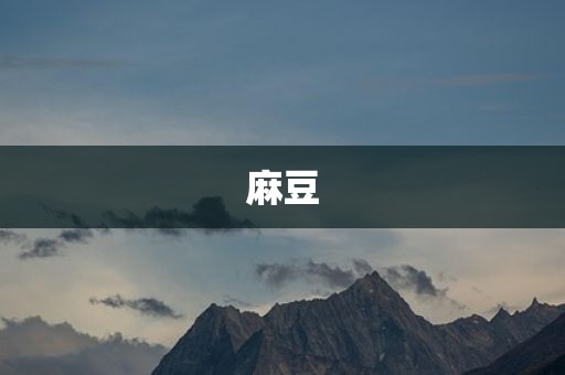 麻豆