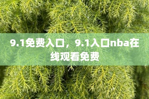 9.1免费入口，9.1入口nba在线观看免费