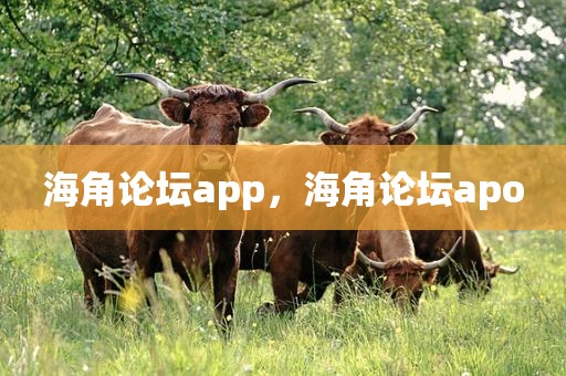 海角论坛app，海角论坛apo