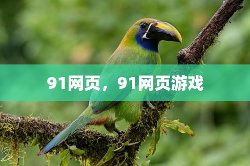 91网页，91网页游戏