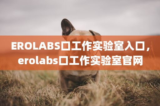 EROLABS口工作实验室入口，erolabs口工作实验室官网