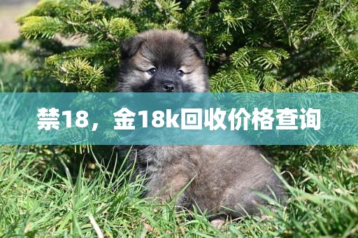 禁18，金18k回收价格查询