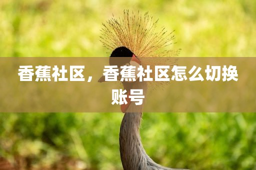 香蕉社区，香蕉社区怎么切换账号