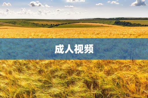 成人视频