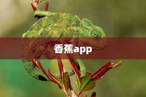 香蕉app