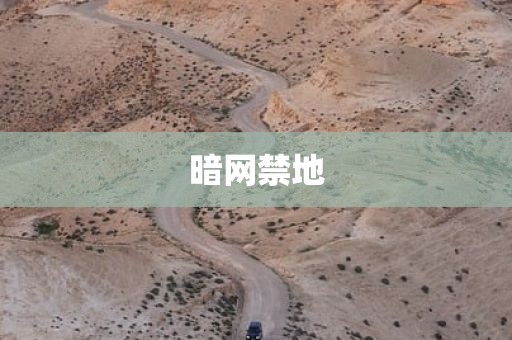 暗网禁地
