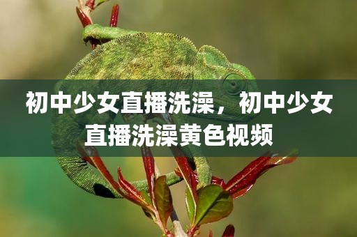 初中少女直播洗澡，初中少女直播洗澡黄色视频