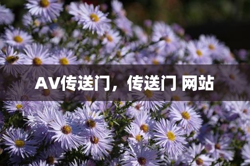AV传送门，传送门 网站