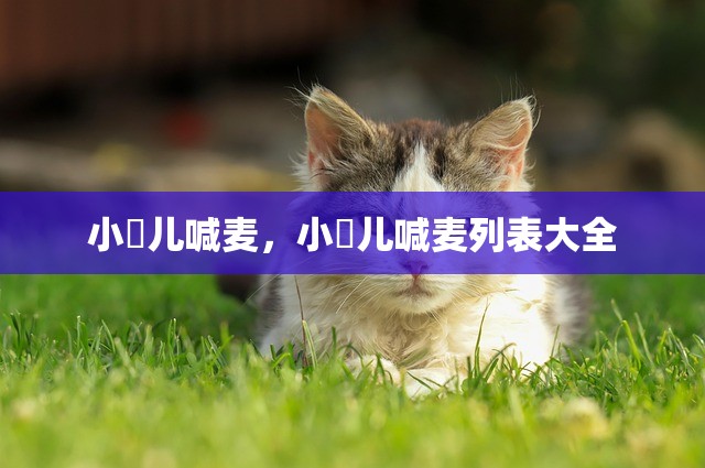 小苮儿喊麦，小苮儿喊麦列表大全