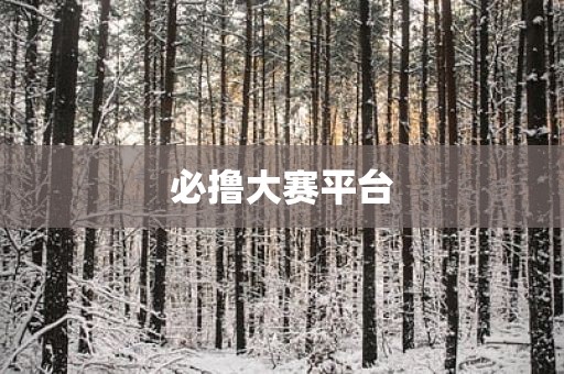 必撸大赛平台