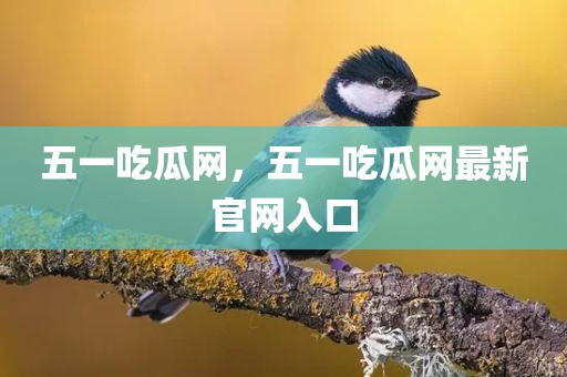 五一吃瓜网，五一吃瓜网最新官网入口