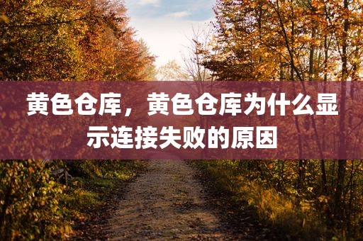 黄色仓库，黄色仓库为什么显示连接失败的原因