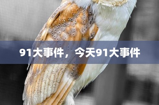 91大事件，今天91大事件