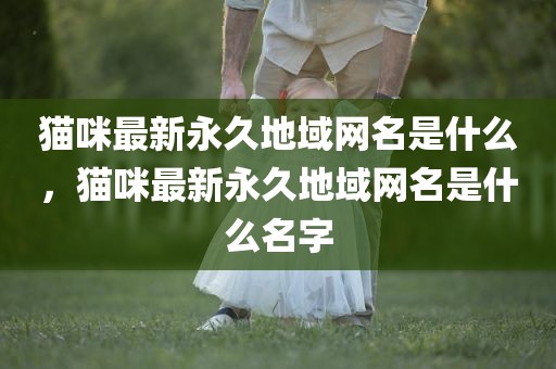 猫咪最新永久地域网名是什么，猫咪最新永久地域网名是什么名字