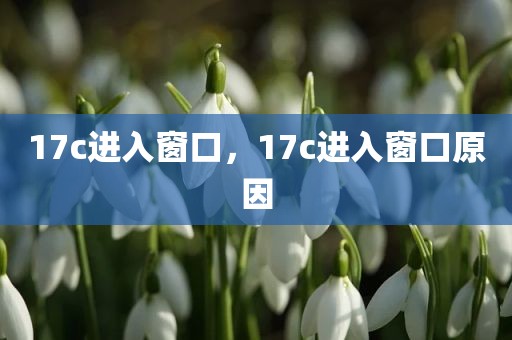 17c进入窗口，17c进入窗口原因