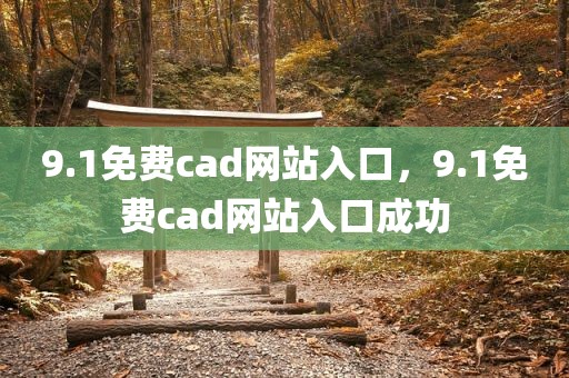 9.1免费cad网站入口，9.1免费cad网站入口成功