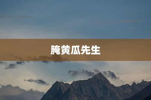 腌黄瓜先生