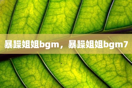 暴躁姐姐bgm，暴躁姐姐bgm7