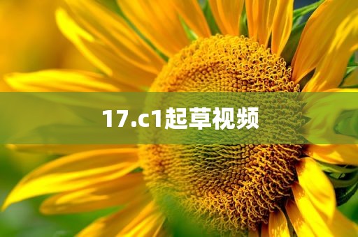 17.c1起草视频