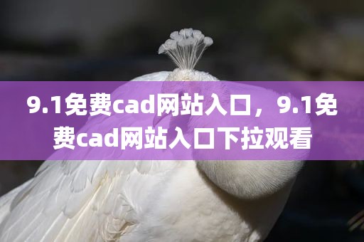 9.1免费cad网站入口，9.1免费cad网站入口下拉观看