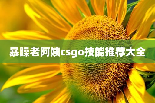 暴躁老阿姨csgo技能推荐大全