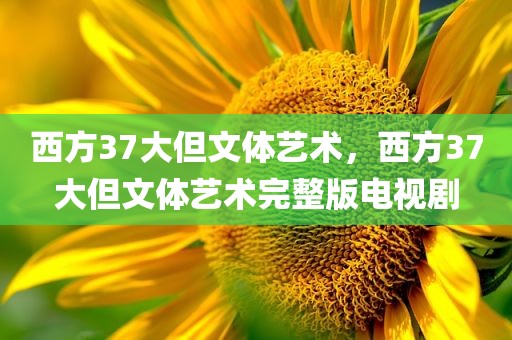 西方37大但文体艺术，西方37大但文体艺术完整版电视剧