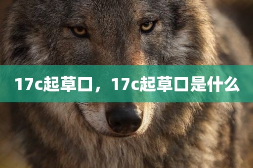 17c起草口，17c起草口是什么