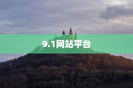 9.1网站平台