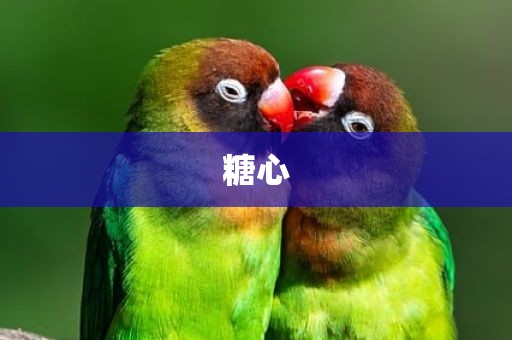 糖心