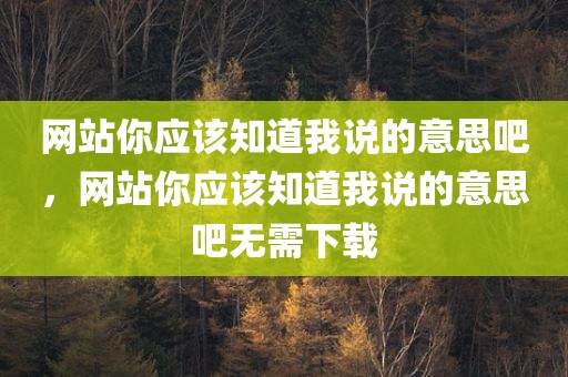 网站你应该知道我说的意思吧，网站你应该知道我说的意思吧无需下载