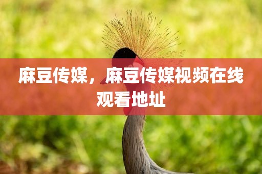 麻豆传媒，麻豆传媒视频在线观看地址