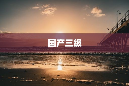 国产三级