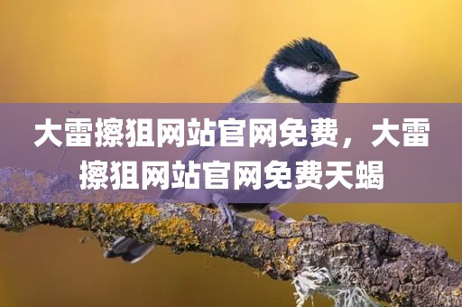 大雷擦狙网站官网免费，大雷擦狙网站官网免费天蝎