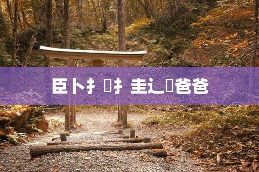 臣卜扌喿扌圭辶畐爸爸