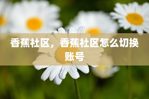 香蕉社区，香蕉社区怎么切换账号
